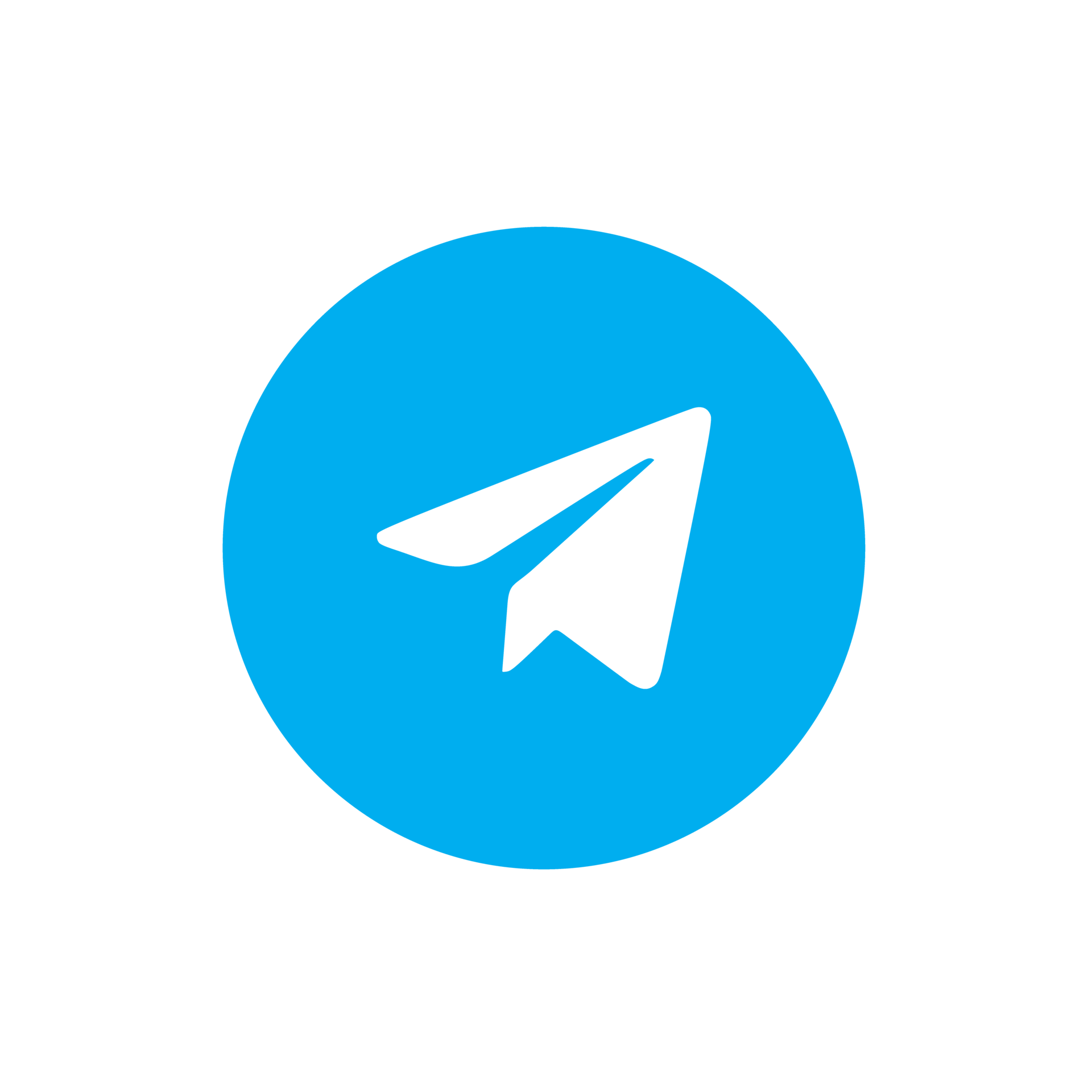 Telegram Bot